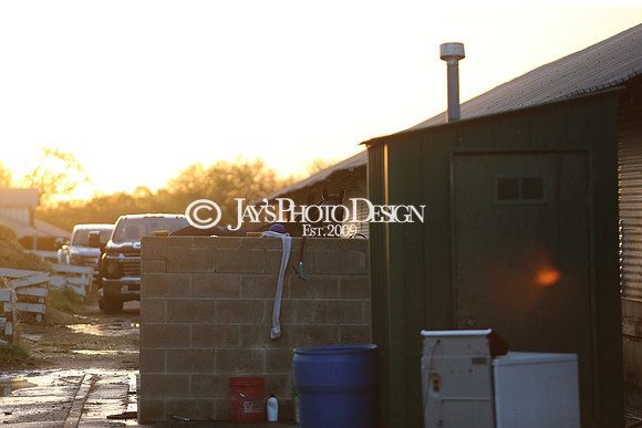 z230401_ArkansasDerbyDay_Manning_0130