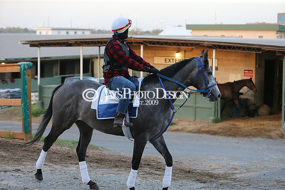 z230401_ArkansasDerbyDay_Manning_0113