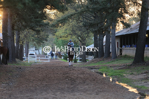 z230401_ArkansasDerbyDay_Manning_0139
