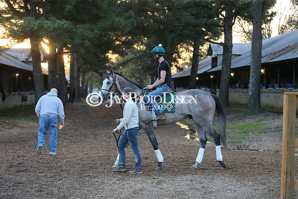 z230401_ArkansasDerbyDay_Manning_0141