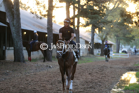 z230401_ArkansasDerbyDay_Manning_0154