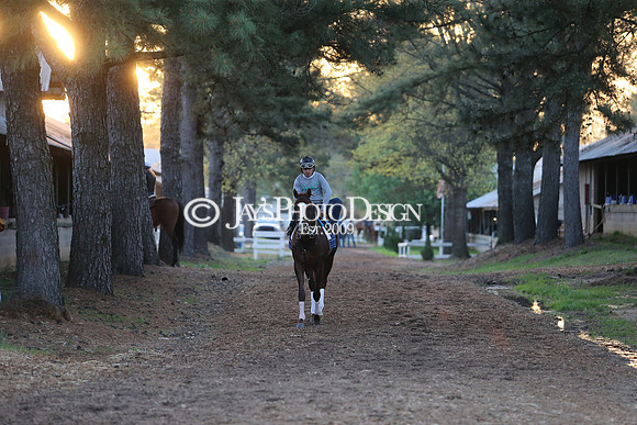 z230401_ArkansasDerbyDay_Manning_0150