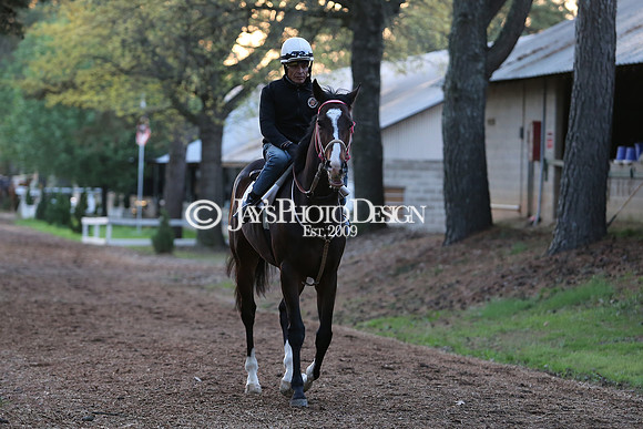 z230401_ArkansasDerbyDay_Manning_0176