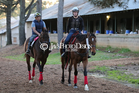z230401_ArkansasDerbyDay_Manning_0167