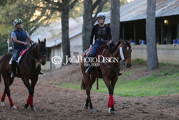 z230401_ArkansasDerbyDay_Manning_0164