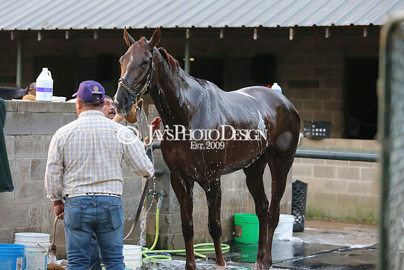 z230401_ArkansasDerbyDay_Manning_0194