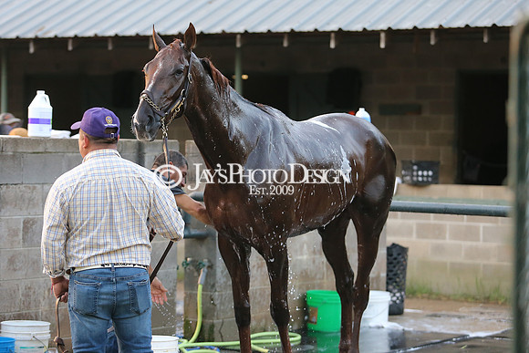 z230401_ArkansasDerbyDay_Manning_0199