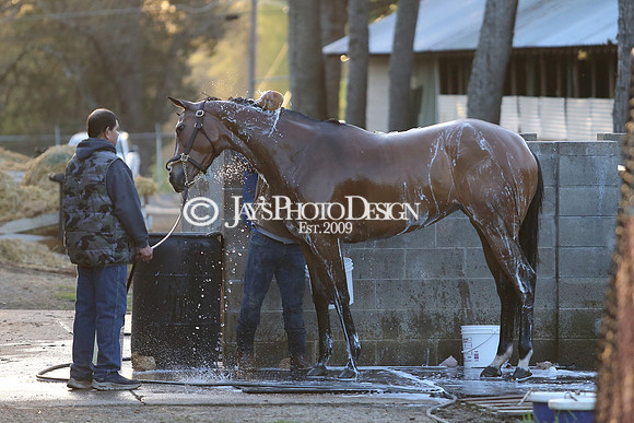 z230401_ArkansasDerbyDay_Manning_0244