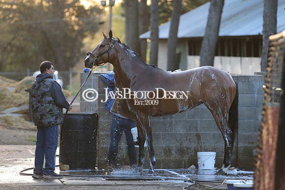 z230401_ArkansasDerbyDay_Manning_0249