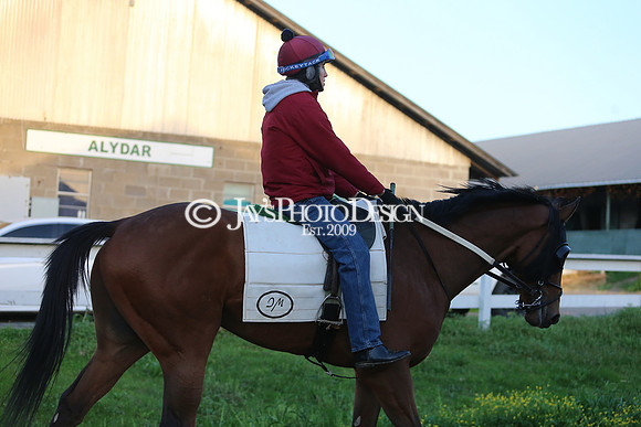 z230401_ArkansasDerbyDay_Manning_0251
