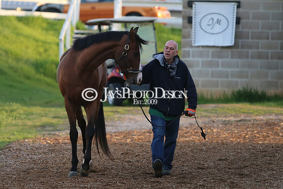 z230401_ArkansasDerbyDay_Manning_0256