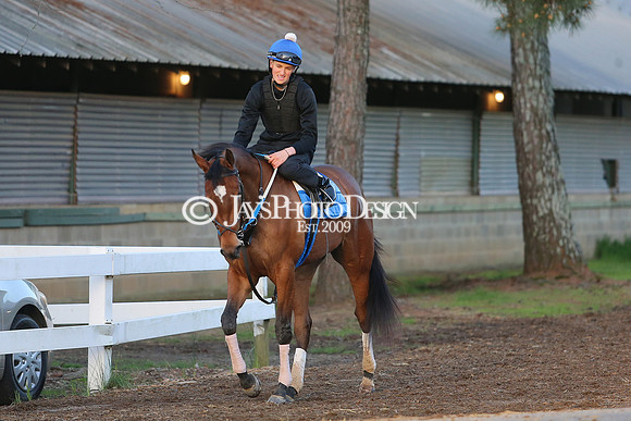 z230401_ArkansasDerbyDay_Manning_0263
