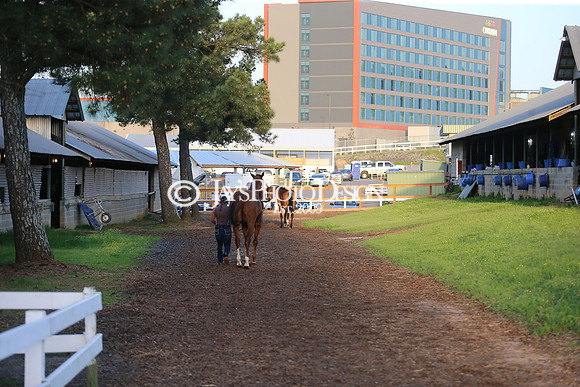 z230401_ArkansasDerbyDay_Manning_0269