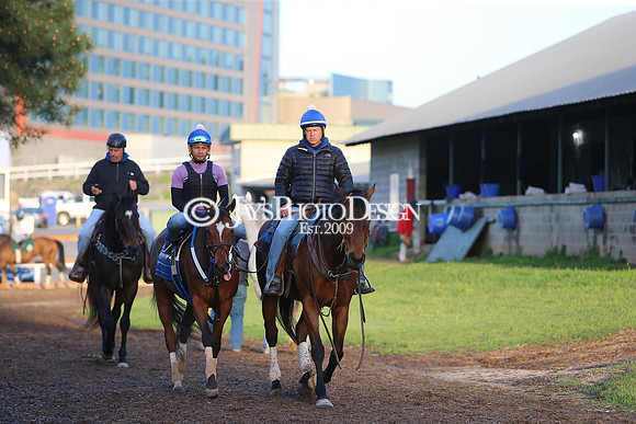 z230401_ArkansasDerbyDay_Manning_0282