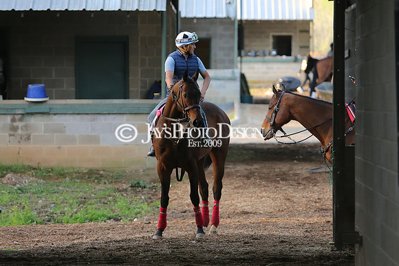 z230401_ArkansasDerbyDay_Manning_0318