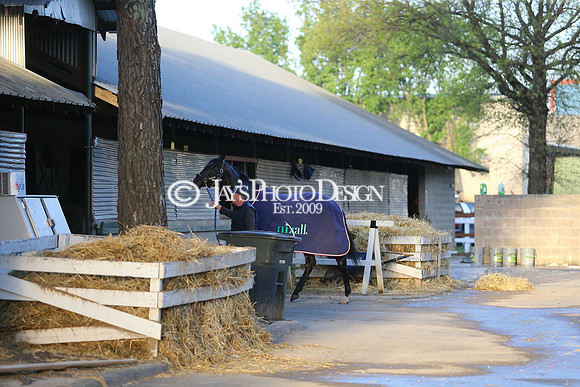 z230401_ArkansasDerbyDay_Manning_0313