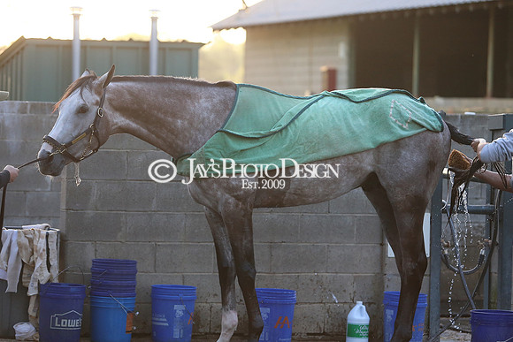 z230401_ArkansasDerbyDay_Manning_0379
