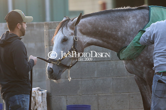 z230401_ArkansasDerbyDay_Manning_0388