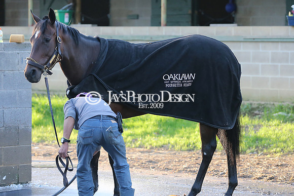 z230401_ArkansasDerbyDay_Manning_0395