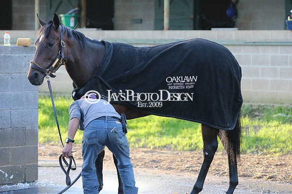 z230401_ArkansasDerbyDay_Manning_0396