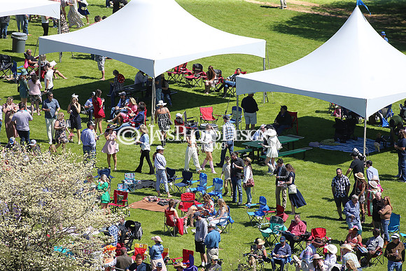 z230401_ArkansasDerbyDay_Manning_0596