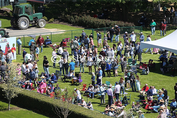 z230401_ArkansasDerbyDay_Manning_0593