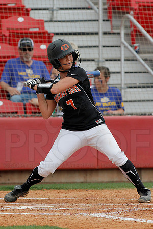 2A Magnet Cove vs. Bigelow- State Softball Finals (Bogle Park) 5-18-13 (© Justin Manning) JWM0005