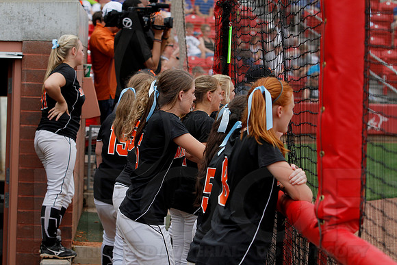 2A Magnet Cove vs. Bigelow- State Softball Finals (Bogle Park) 5-18-13 (© Justin Manning) JWM0144