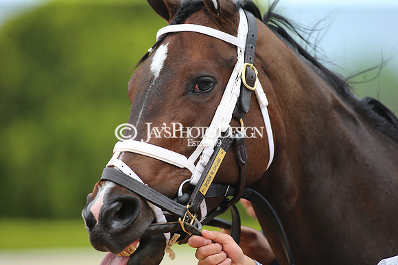 z23-0415_Apple Blossom Stakes_MANNING_0583