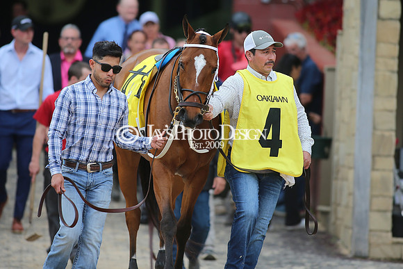z23-0415_Apple Blossom Stakes_MANNING_0721