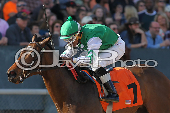 JWM160131_Oaklawn_0014