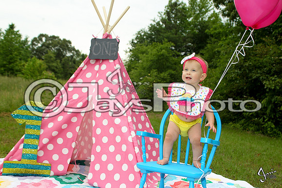 Camden's 1st Birthday pictures_0690