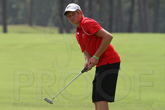 Glen Rose Golf-Cortez golf course (Hot Springs Village) 8-8-13 (© Justin Manning) JWM0048 0048