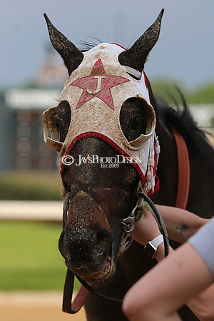 z23-0415_Apple Blossom Stakes_MANNING_0533