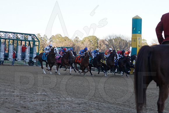 Oaklawn 1-21-13 (Smarty Jones Stakes) (Justin Manning)0210