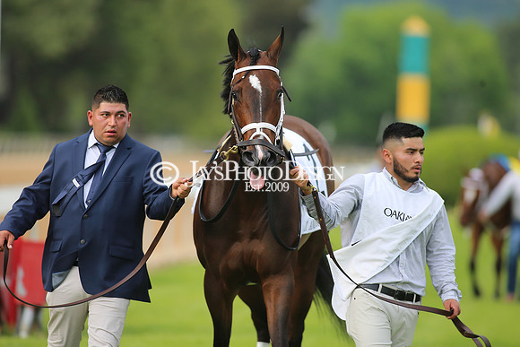 z23-0415_Apple Blossom Stakes_MANNING_0809