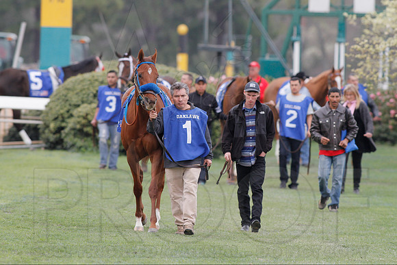 Fantasy Stakes 4-5-2014 (© Justin Manning) JWM_0506