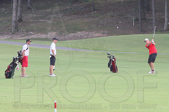 Glen Rose Golf-Cortez golf course (Hot Springs Village) 8-8-13 (© Justin Manning) JWM0141 0141