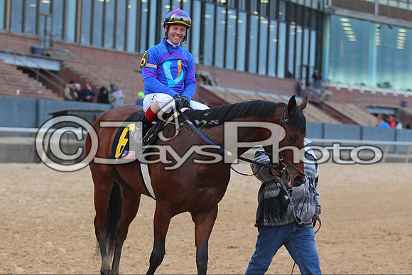 Oaklawn Smarty Jones Stakes 1-18-2016 (©Justin Manning) JWM_(0543