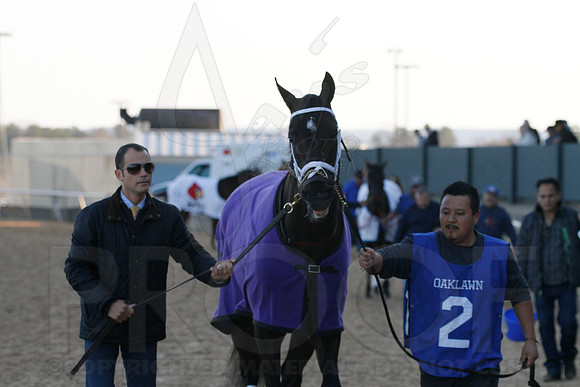 Oaklawn 1-21-13 (Smarty Jones Stakes) (Justin Manning)0066