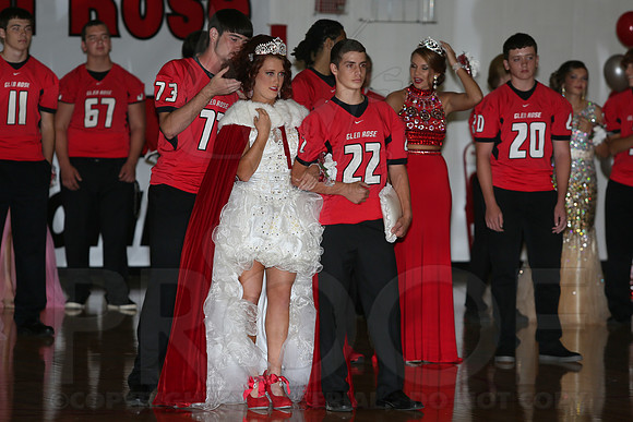 Football Homecoming (Day Ceremony) 10-10-2014 (©Justin Manning) JWM_0082