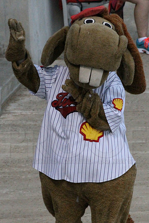 Springfield Cardinals @ Arkansas Travelers 8-4-13 (© Justin Manning) JWM0183