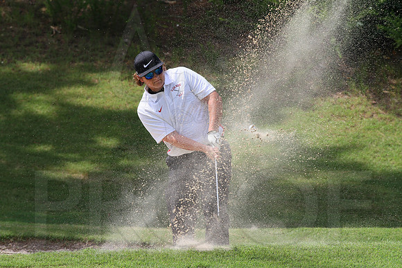 Glen Rose Golf-Cortez golf course (Hot Springs Village) 8-8-13 (© Justin Manning) JWM0066 0066