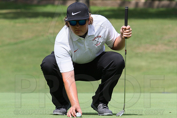 Glen Rose Golf-Cortez golf course (Hot Springs Village) 8-8-13 (© Justin Manning) JWM0097 0097