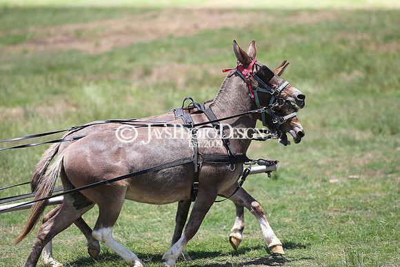 Whiskey Ridge (Chuckwagon Races) 5-27-23_JWM_0664