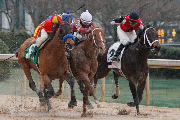 Rebel Stakes 3-15-14 3-15-2014 (© Justin Manning) JWM_0231