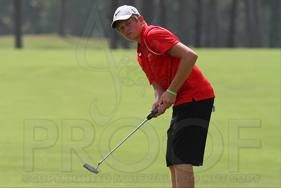 Glen Rose Golf-Cortez golf course (Hot Springs Village) 8-8-13 (© Justin Manning) JWM0047 0047