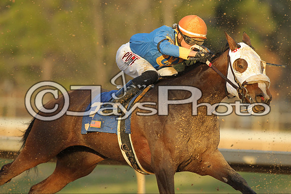 JWM160131_Oaklawn_0199