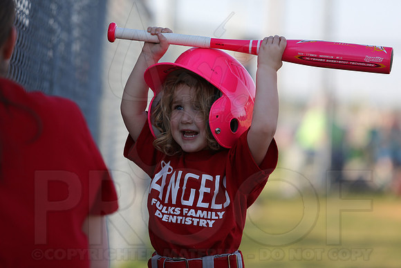 White Sox vs Angels 4-22-13 (©Justin Manning) JWM0060