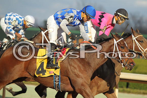JWM160131_Oaklawn_0115